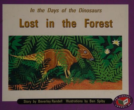 Lost in the Forest