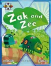Project X: Bugs: Zak and Zee