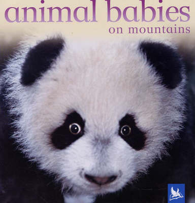 Animal Babies on Mountains