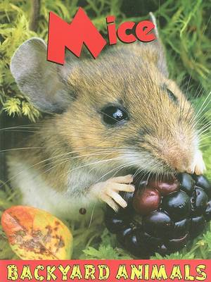 Mice