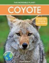 Coyote: Fascinating Animal Facts for Kids