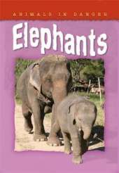 Animals In Danger: Elephants