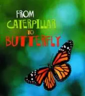 From Caterpillar to Butterfly