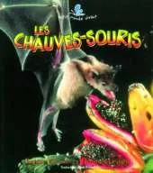 Chauves-Souris