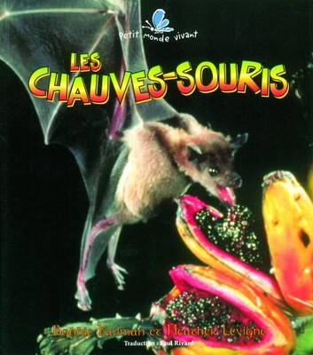 Chauves-Souris