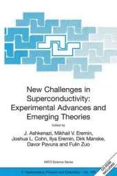New Challenges in Superconductivity: Experimental Advances and Emerging Theories: Proceedings of the NATO Advanced Research Workshop, held in Miami, Florida, 11-14 January 2004
