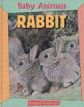 BABY ANIMALS RABBIT