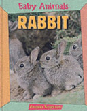 BABY ANIMALS RABBIT