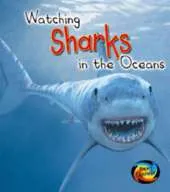 Watching Sharks in the Oceans