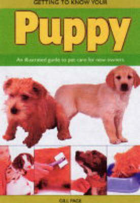 Getting to Know Your Puppy