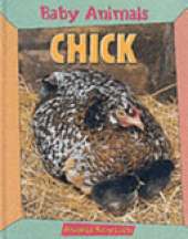 BABY ANIMALS CHICK