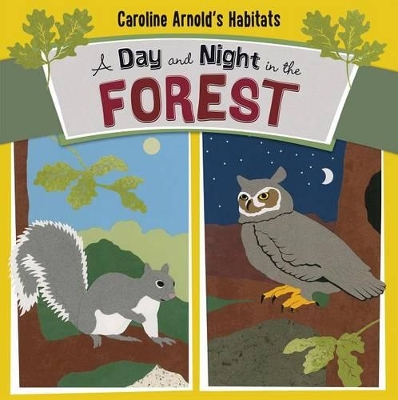 A Day and Night in the Forest
