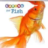 Caring for Fish