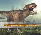 All About Dinosaurs Pack A of 6