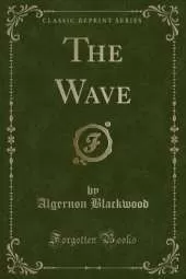 The Wave (Classic Reprint)