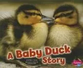 Baby Animals Baby Duck Story