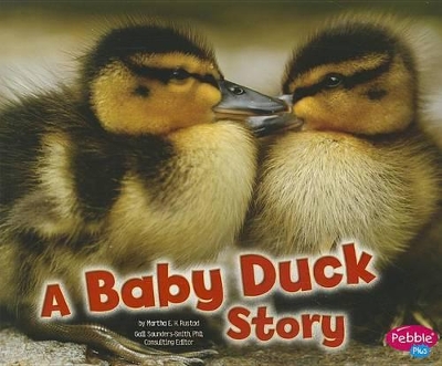Baby Animals Baby Duck Story