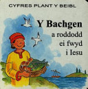 Bachgen, Y
