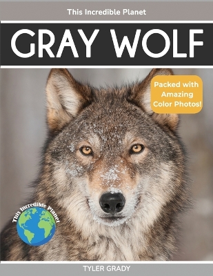 Gray Wolf: Fascinating Animal Facts for Kids