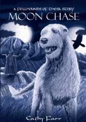 Moon Chase