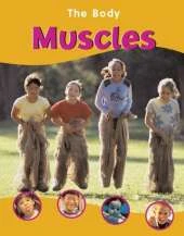 The BODY THE MUSCLES