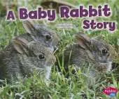 Baby Rabbit Story