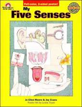 My Five Senses