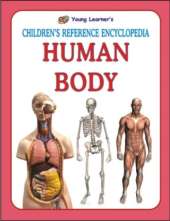 Human Body