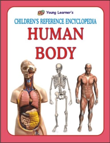 Human Body