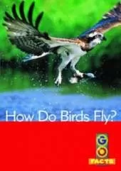 How Do Birds Fly?