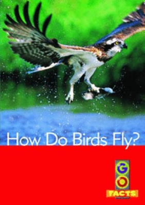 How Do Birds Fly?