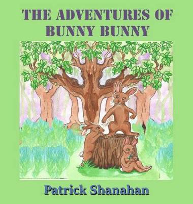 The Adventures of Bunny Bunny