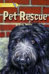 Literacy World Satellites Fiction Stage 1 Guided Reading Cards: Pet Rescue Framework 6 Pack