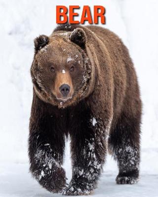 Bear: Beautiful Pictures & Interesting Facts Children Book About Bear