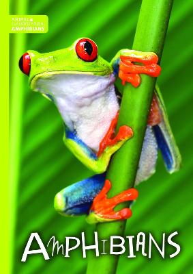 Amphibians