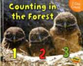 I Can Count!: Pack A of 4
