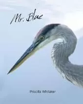Mr. Blue