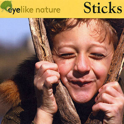 Sticks
