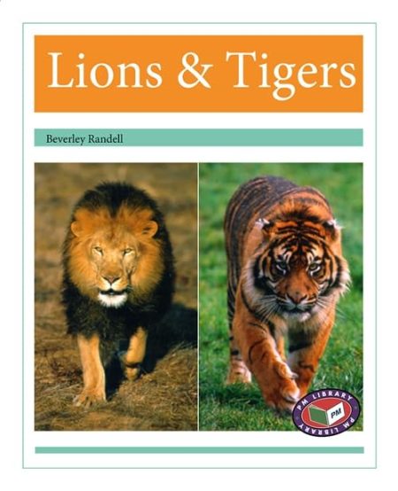 Lions & Tigers