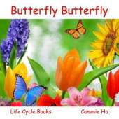 Butterfly Butterfly