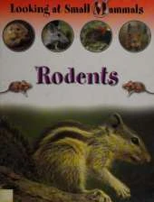 Rodents