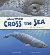 When Whales Cross the Sea: The Gray Whale Migration