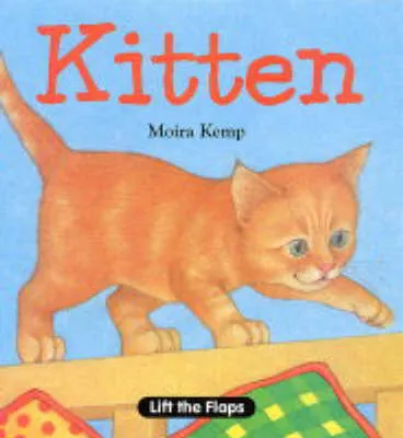 Kitten