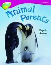 Oxford Reading Tree: Level 10A: TreeTops More Non-Fiction: Animal Parents
