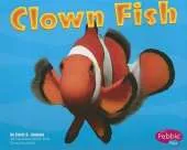 Clown Fish