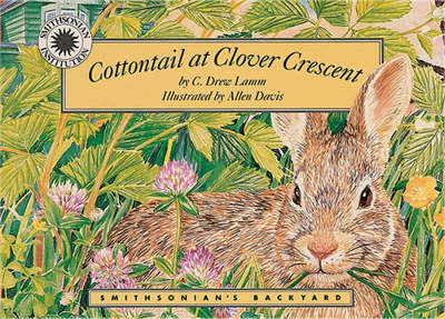 Cottontail at Clover Crescent