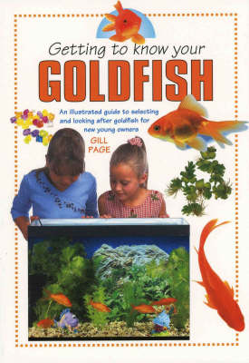 Getting To Know Your Goldfish