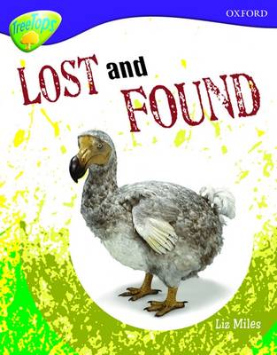 Oxford Reading Tree: Level 11A: TreeTops More Non-Fiction: Lost and Found