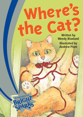 Bright Sparks: Where's the Cat?: Emergent