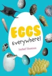 Eggs Everywhere!: Fluency 6